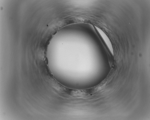 X0000088660331200706081709