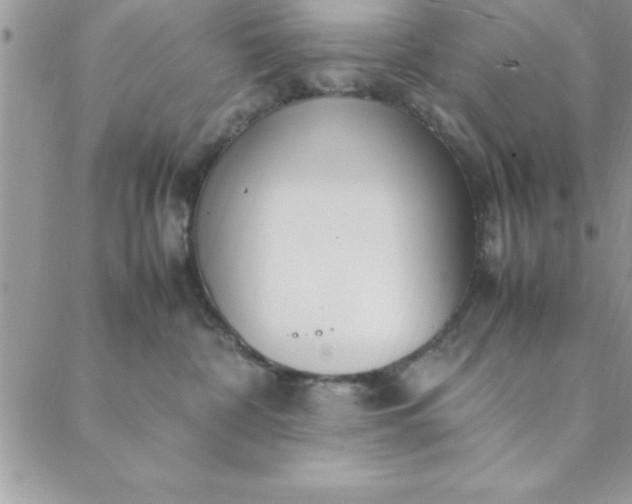 X0000088660332200706081709