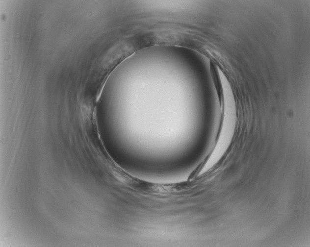 X0000088660333200706081709