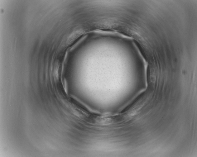 X0000088660334200706081709