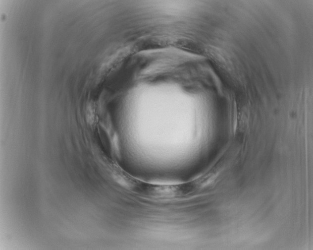 X0000088660335200706081709