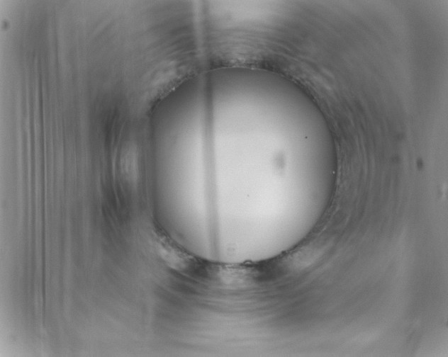 X0000088660336200706081709