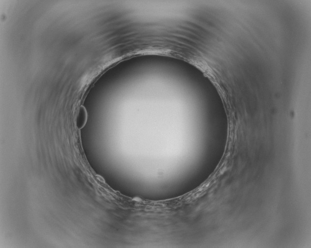 X0000088660337200706081708