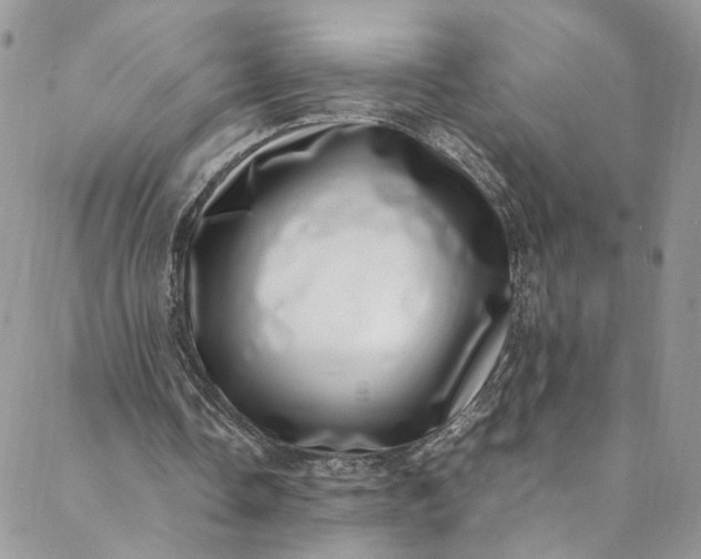 X0000088660338200706081708