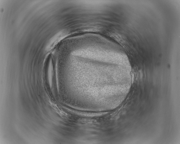 X0000088660339200706081708