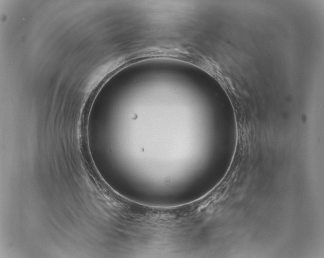 X0000088660340200706081708