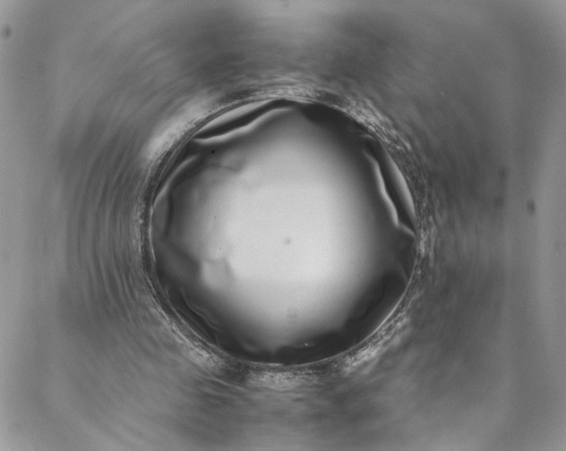 X0000088660341200706081708