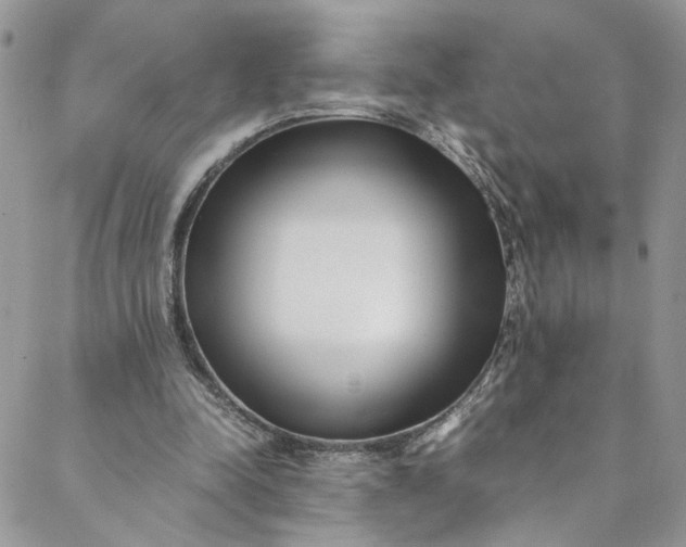 X0000088660342200706081708