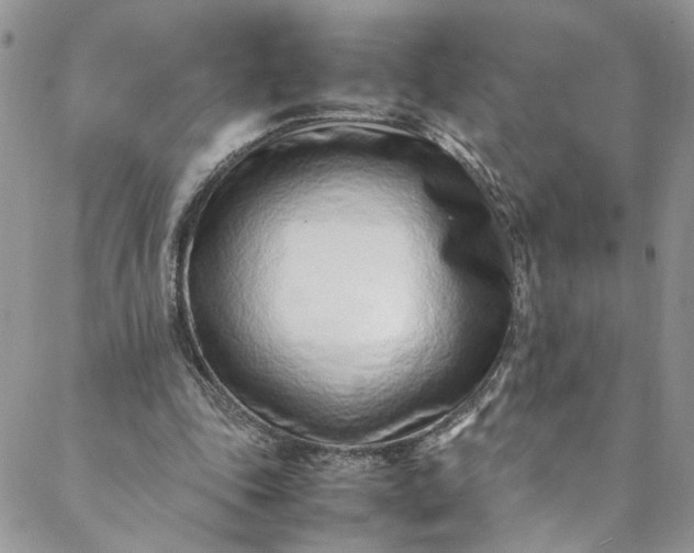 X0000088660343200706081708