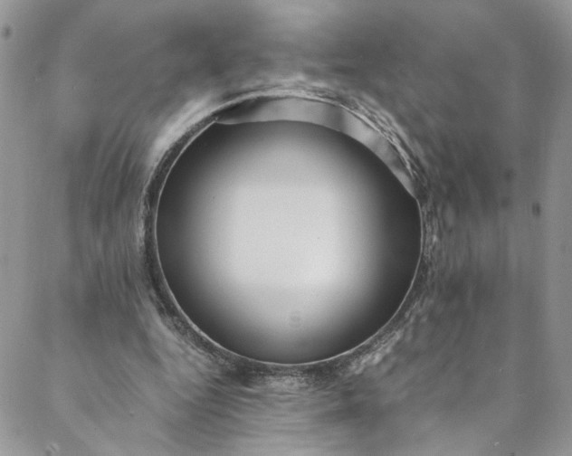 X0000088660344200706081708