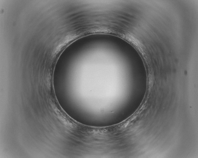 X0000088660345200706081708