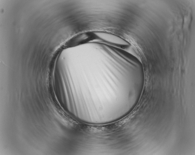 X0000088660346200706081708