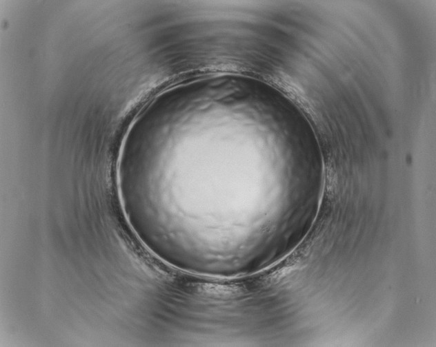 X0000088660347200706081708