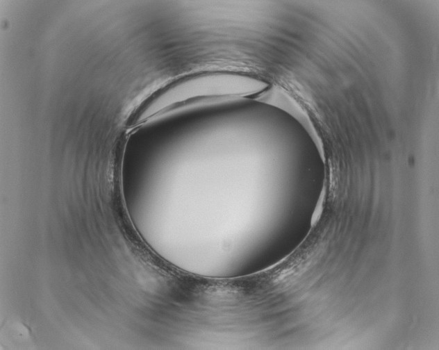 X0000088660348200706081708