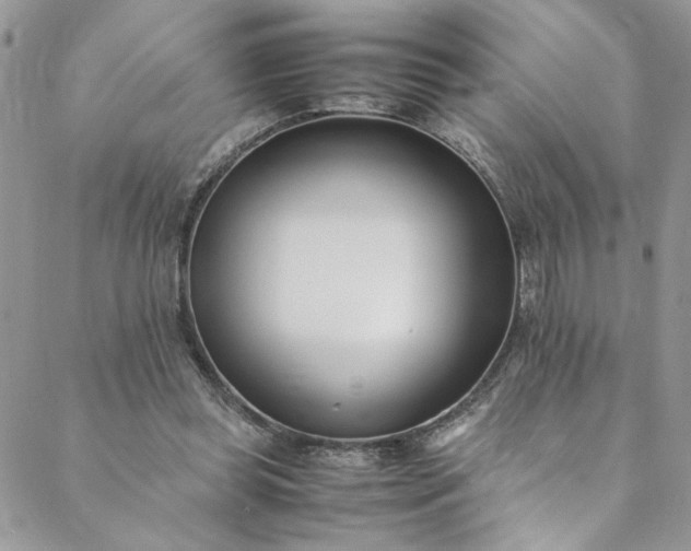 X0000088660349200706081708