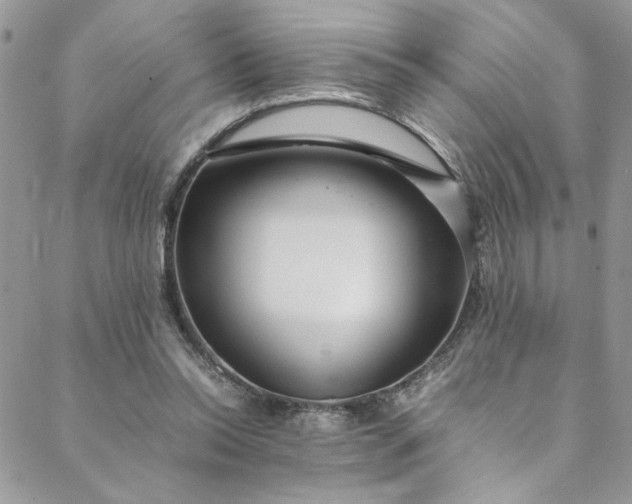 X0000088660350200706081708