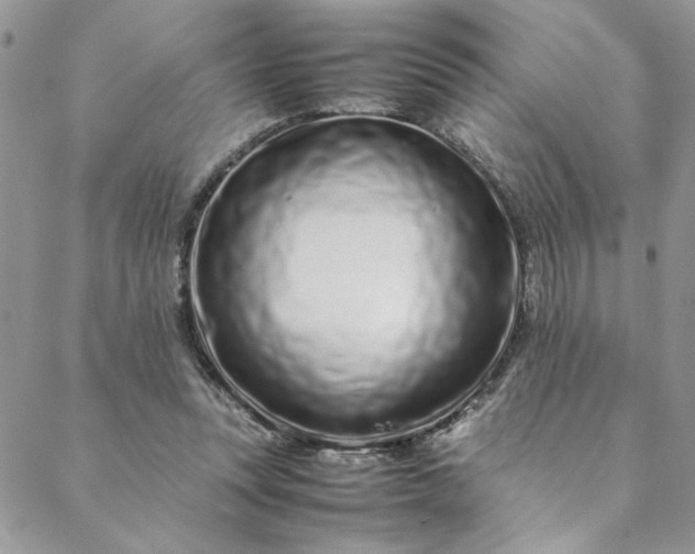 X0000088660351200706081708