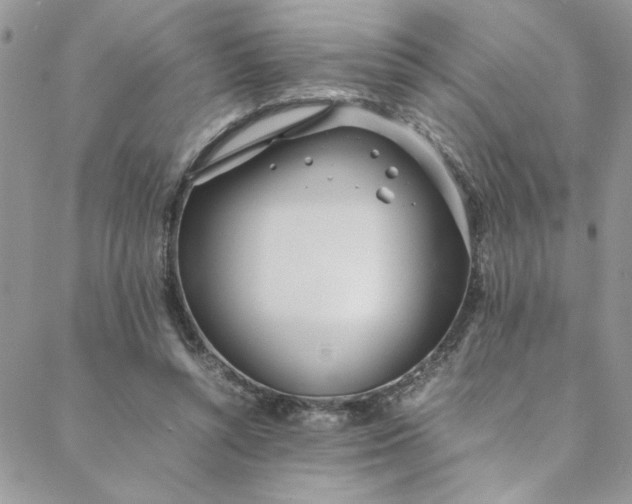 X0000088660352200706081708