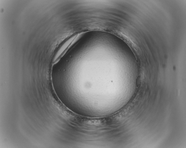 X0000088660353200706081708