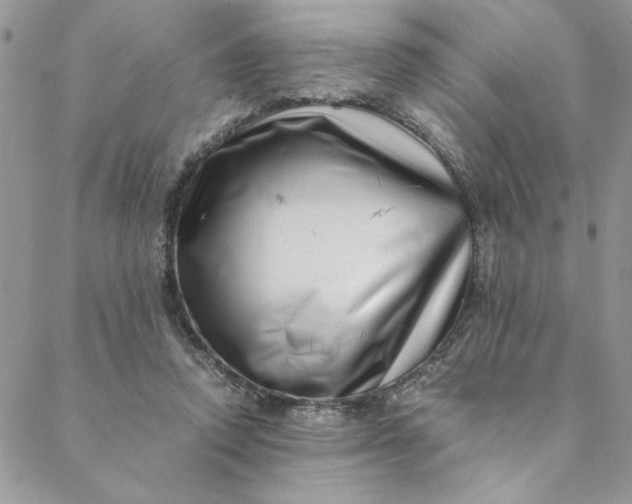 X0000088660354200706081708