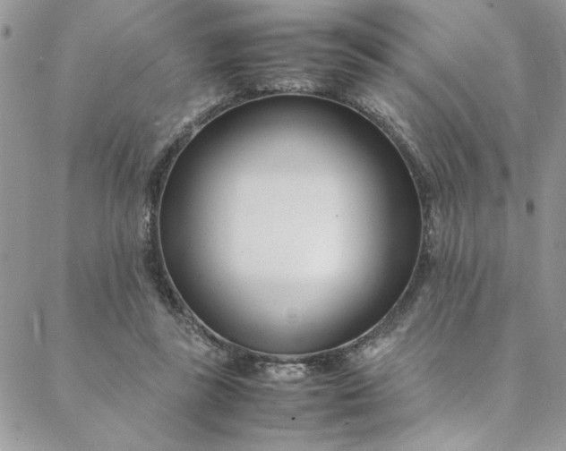 X0000088660355200706081708