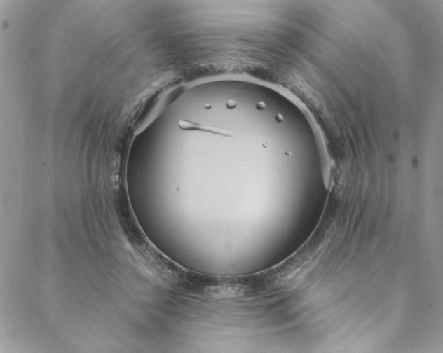 X0000088660356200706081708