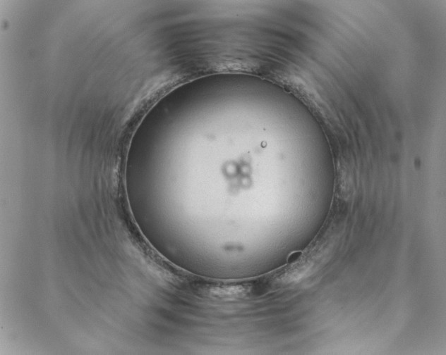 X0000088660357200706081708