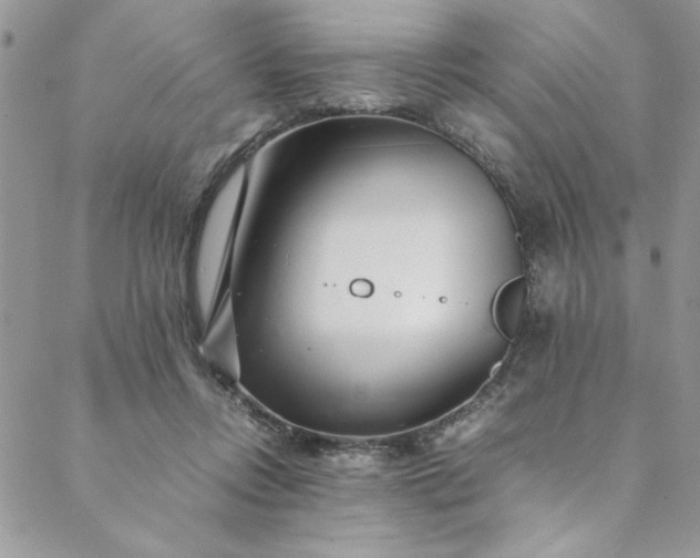 X0000088660358200706081708