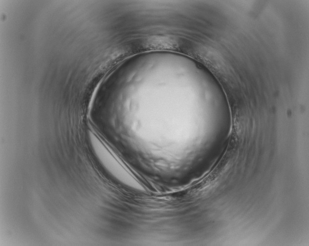 X0000088660359200706081708