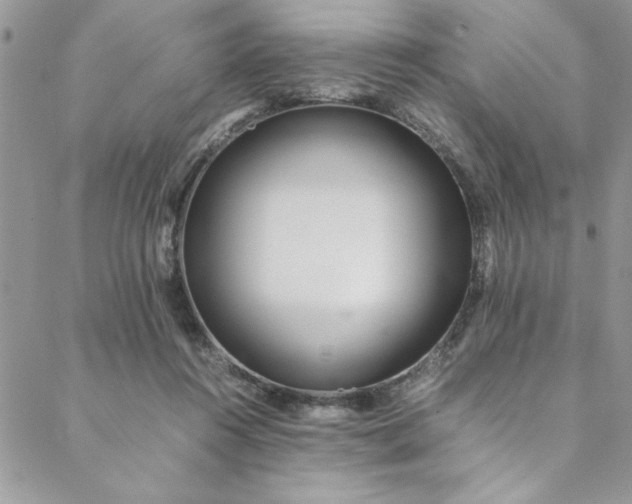 X0000088660360200706081708