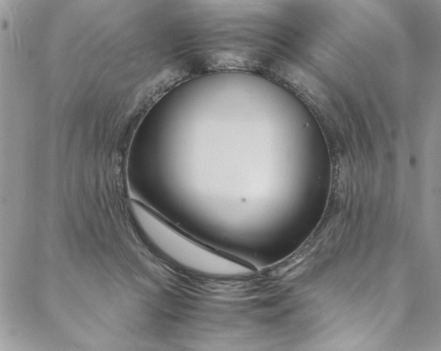 X0000088660361200706081708