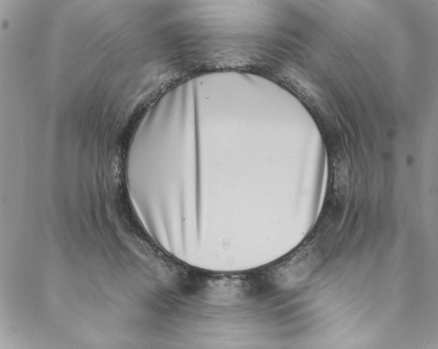 X0000088660362200706081708