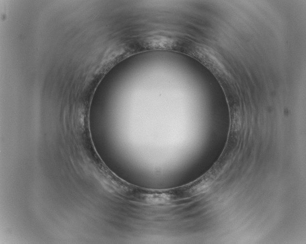 X0000088660363200706081708