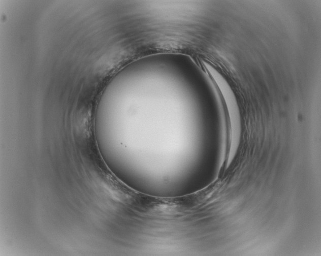 X0000088660364200706081708