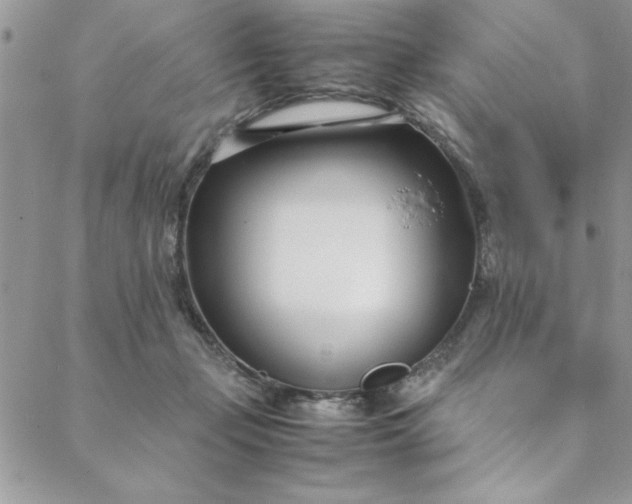 X0000088660365200706081708