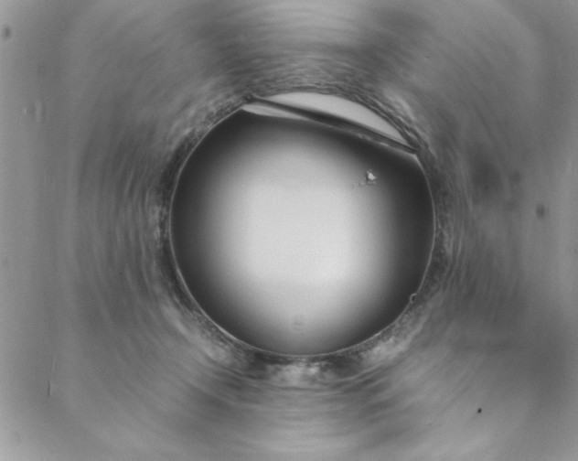 X0000088660366200706081708