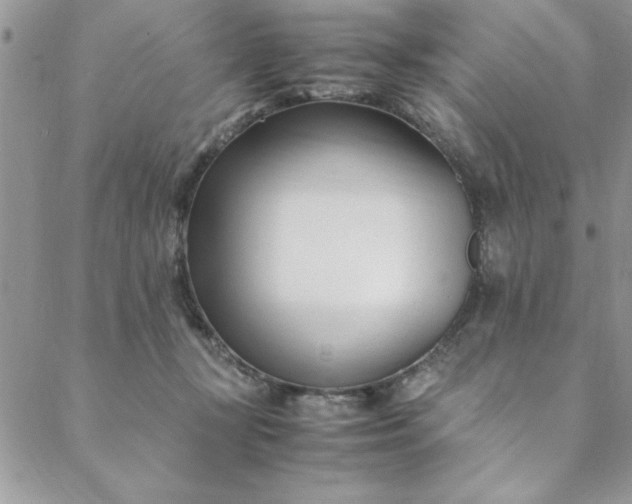 X0000088660367200706081708