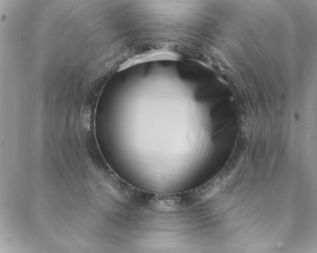 X0000088660368200706081708