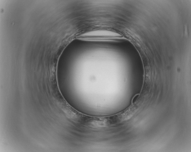 X0000088660369200706081708