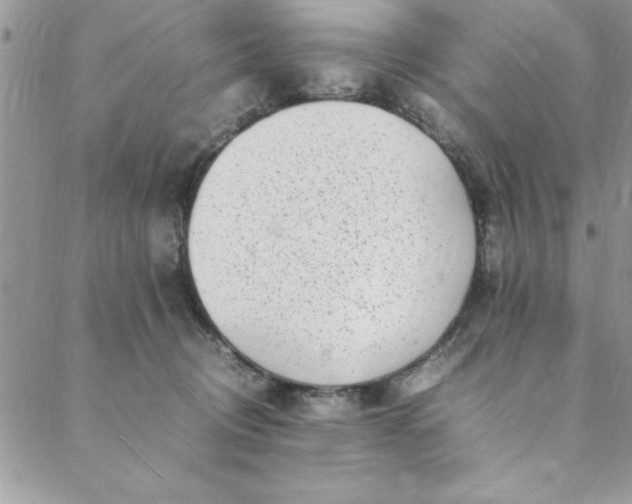 X0000088660370200706081708