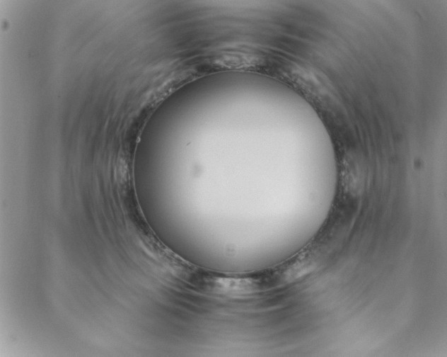 X0000088660371200706081708