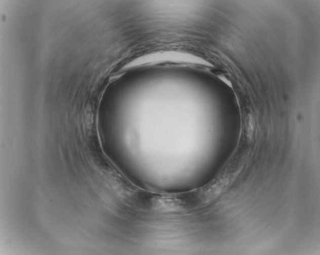 X0000088660372200706081708