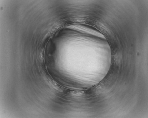 X0000088660373200706081709