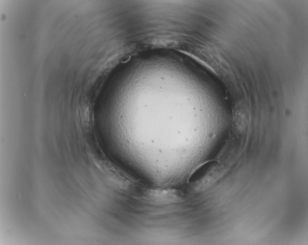 X0000088660375200706081709