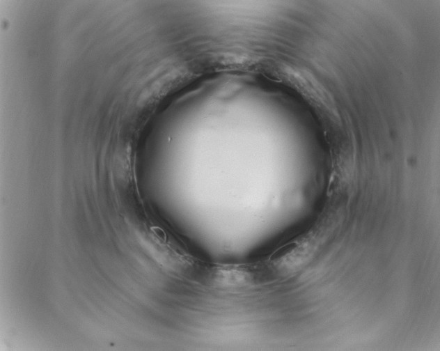 X0000088660376200706081709