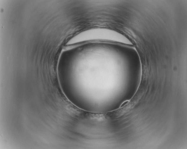 X0000088660377200706081709