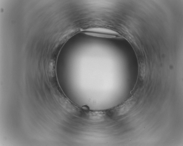 X0000088660378200706081709