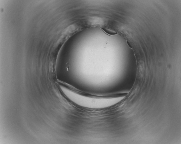 X0000088660379200706081709