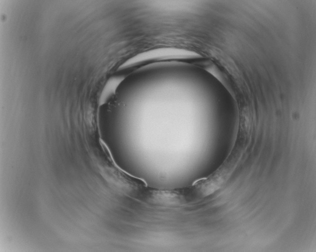 X0000088660380200706081709