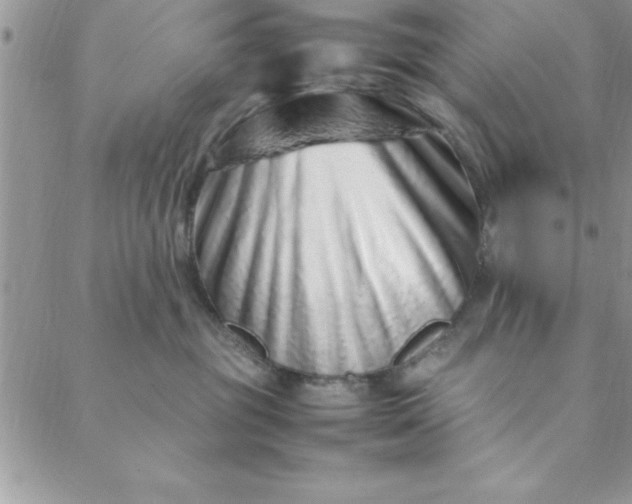 X0000088660381200706081709